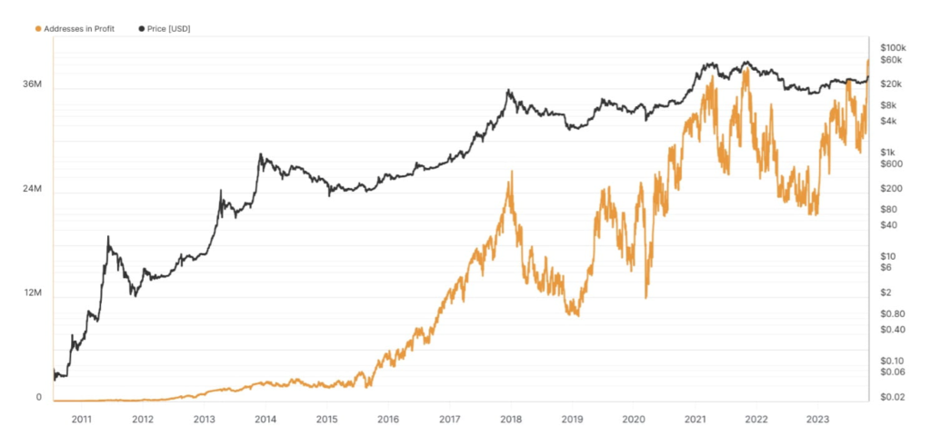 Bitcoin Profit Screen